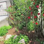 Aria 아파트