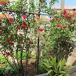 公寓 阿里亚公寓酒店