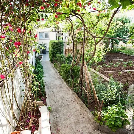 Aria Διαμέρισμα *